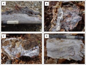 2 300x227 - BULGOLD Inc. Extends the Occurrence of Epithermal Quartz Veins to 1.2km of Strike Length Within the Sinter Field on the Lutila Gold Project
