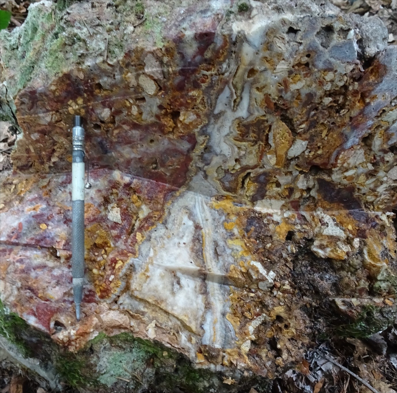 picture5 - BULGOLD Inc. Samples 21.2g/t Gold At Surface And Expands Kopernica Footprint By 170% To 1,700 Metres By 800 Metres, Lutila Project